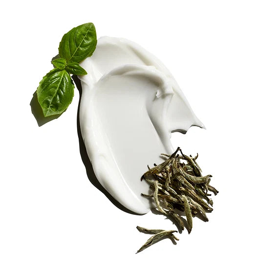 Clean Break® Oil Control Moisturizer